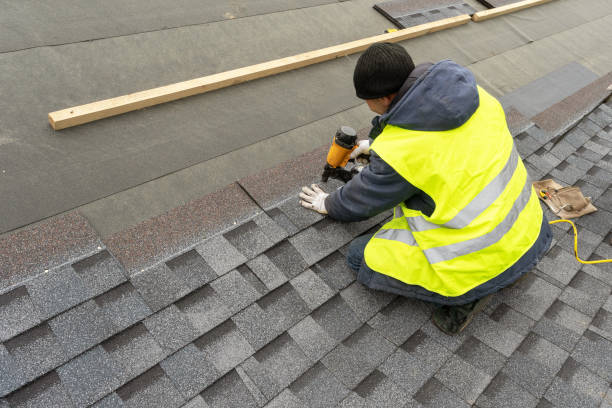 Roof Gutter Cleaning in Raubsville, PA