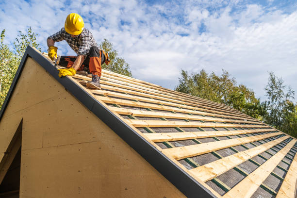 Best Roof Gutter Cleaning  in Raubsville, PA